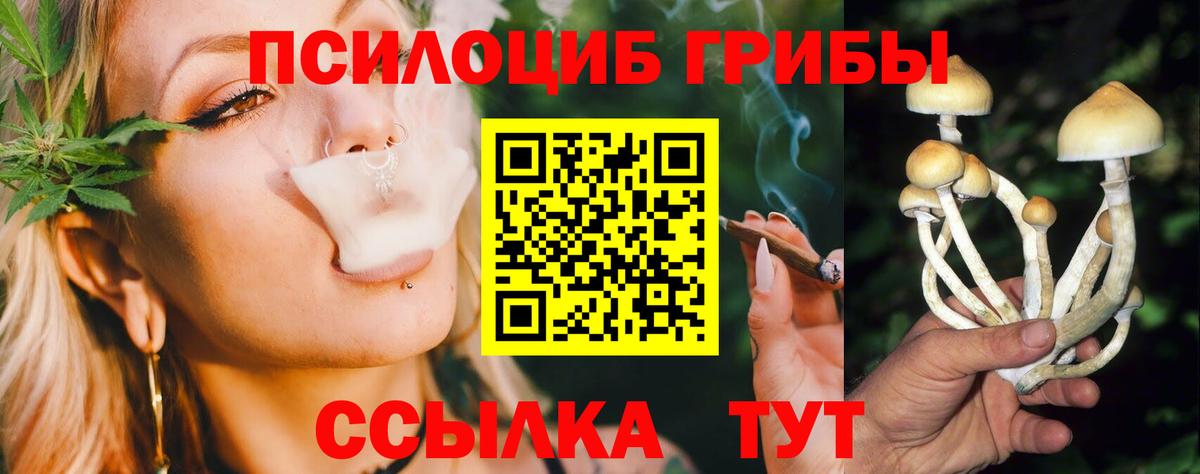 Псилоцибиновые грибы Psilocybine cubensis  Вход с VPN  Сертолово 